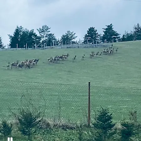 U Nás V Hliníku - Pri Liptovskej Mare Apartmán Bobrovník